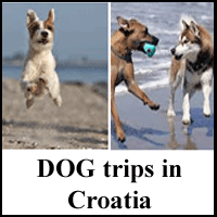 Dog-trip-in-Croatia